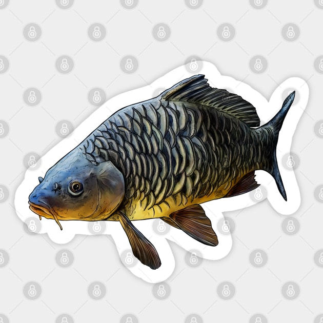 Carp Sticker by Sandarmi